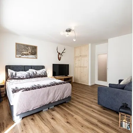 Mit Separater Kueche Mitten In Appartement Davos